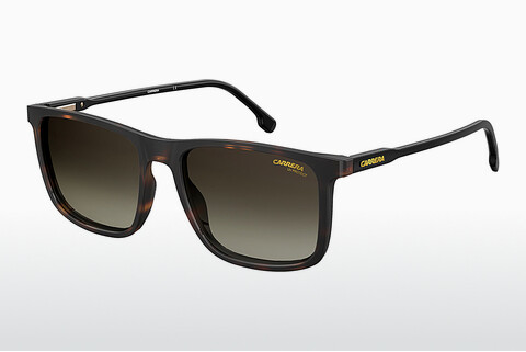 слънчеви очила Carrera CARRERA 231/S 086/HA