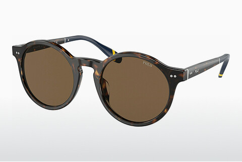 слънчеви очила Polo PH4204U 500373