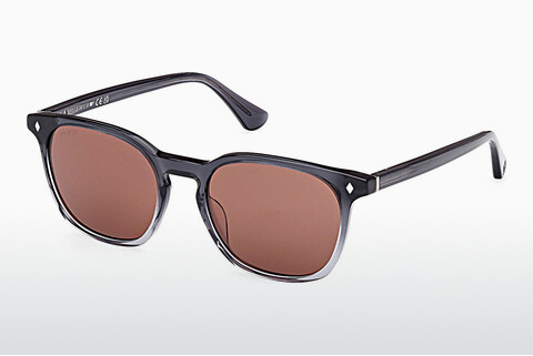 слънчеви очила Web Eyewear WE0364 20S