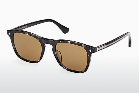 слънчеви очила Web Eyewear WE0365 05E