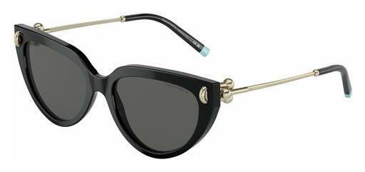 слънчеви очила Tiffany TF4195 8001S4