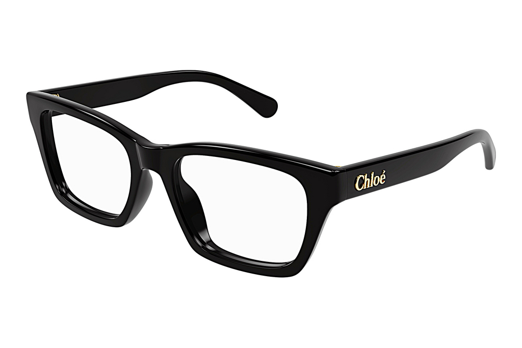 Chloé   CH0242O 001 BLACK