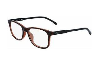 Lacoste L3657 210 BROWN BROWN HORN