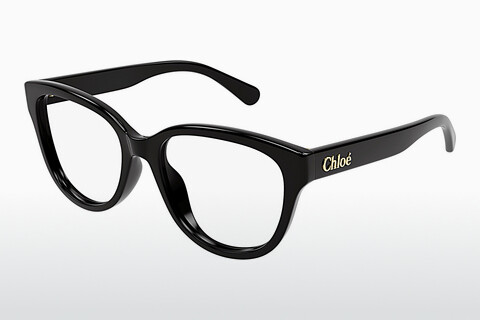 очила Chloé CH0243O 005