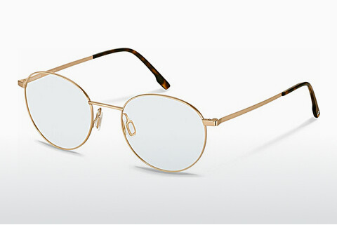 очила Rodenstock R2662 C000