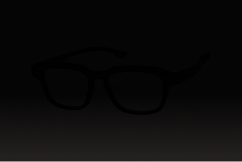 очила ic! berlin Raidon (A0689 802023t02007do)