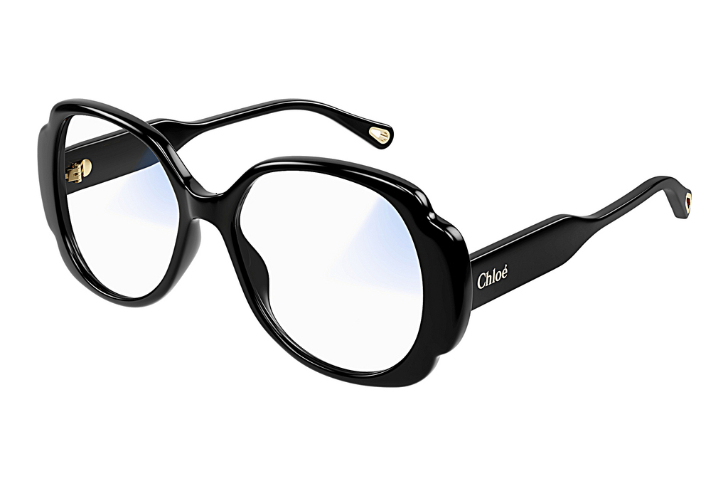 Chloé   CH0196S 001 BLACK