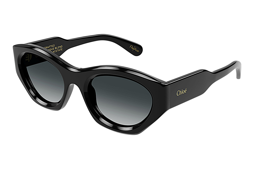 Chloé   CH0220S 001 BLACK