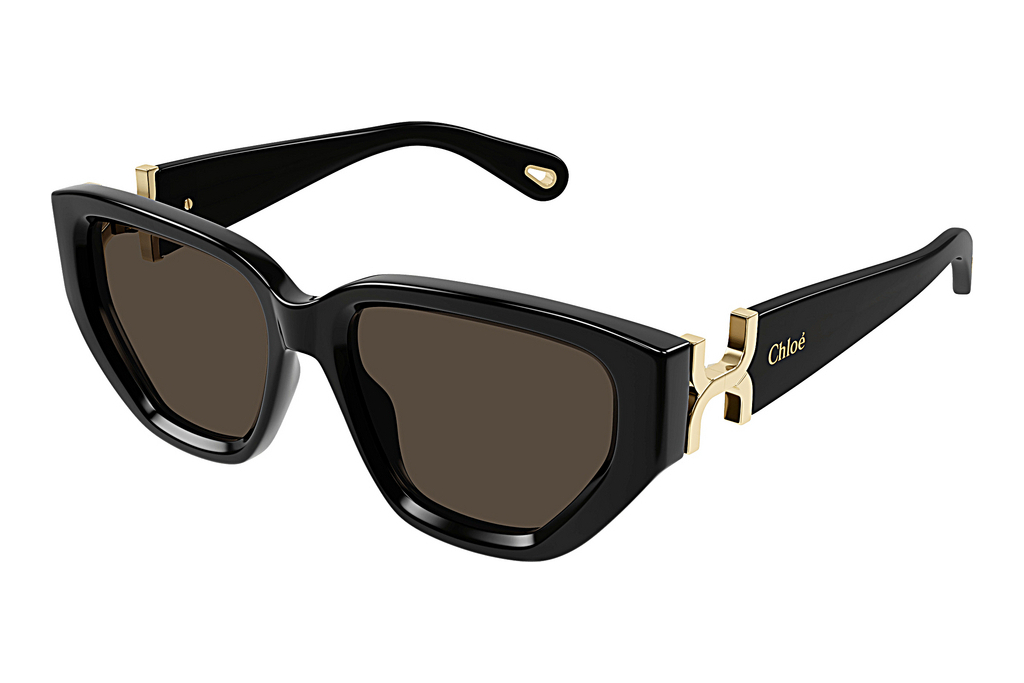 Chloé   CH0235S 001 BLACK