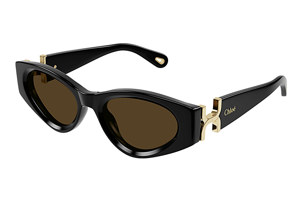 Chloé   CH0259S 001 BLACK