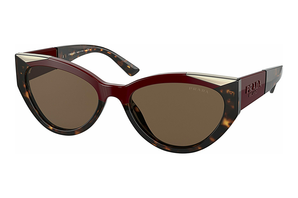 Prada   PR 03WS 07C0D1 Dark BrownCherry/Dark Havana