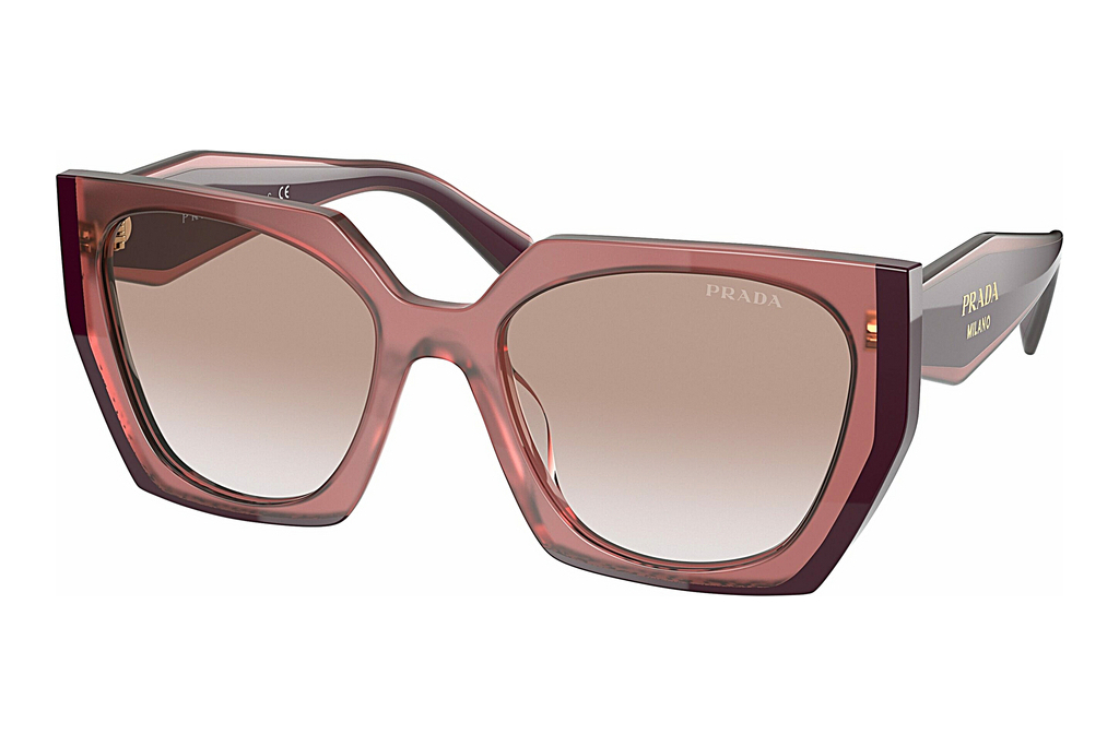 Prada   PR 15WS 1221L0 Clear Gradient BrownOpal Garnet