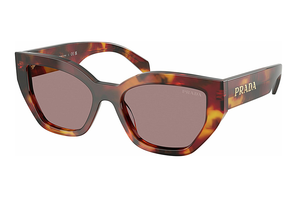 Prada   PR A09S 22A20I Light Purple BrownPoppy Tortoise