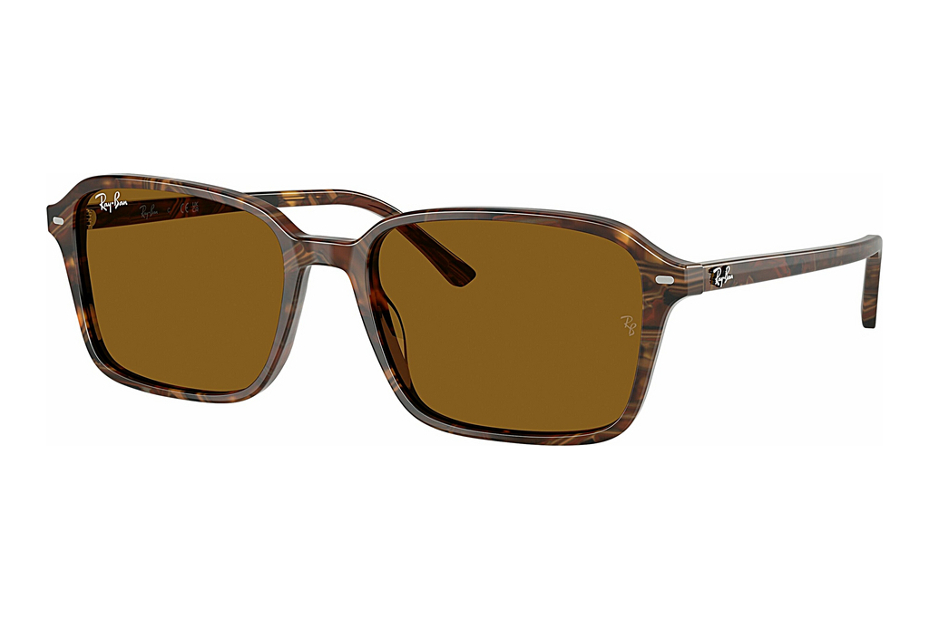 Ray-Ban   RB2231 141833 B-15 BrownTransparent Fantasy Brown