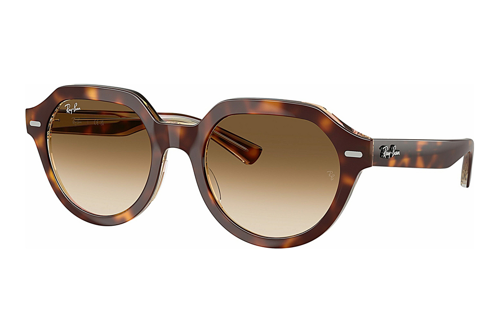 Ray-Ban   RB4399 141451 Clear Gradient BrownLight Havana On Multicolor