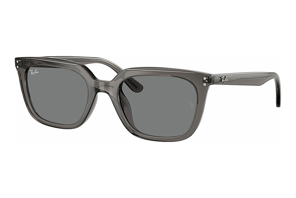 Ray-Ban   RB4439D 667587 Dark GreyTransparent Grey