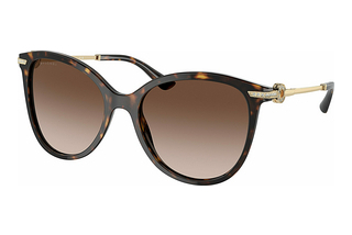 Bvlgari BV8201B 504/13