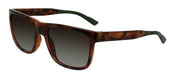 Calvin Klein CK21531S 220 BROWN BROWN HAVANA