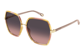 Chloé CH0262S 003 HAVANA