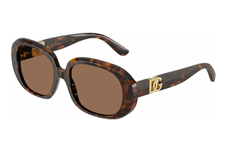 Dolce & Gabbana DG4476 502/73 Dark BrownHavana