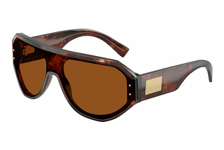 Dolce & Gabbana DG4481 322273 Dark BrownDark Red Havana