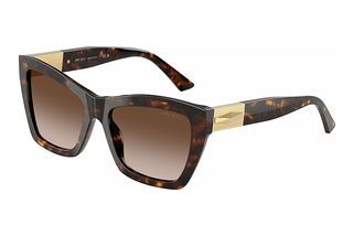 Jimmy Choo JC5031 500213 Gradient BrownHavana