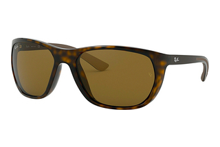 Ray-Ban RB4307 710/73