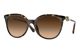 Versace VE4404 108/74 Brown GradientHavana