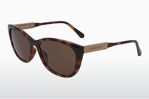 слънчеви очила Calvin Klein CKJ20500S 240