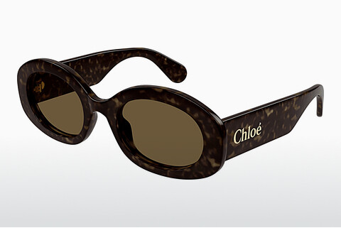 слънчеви очила Chloé CH0258S 002