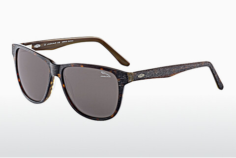 слънчеви очила Jaguar 37161 6133