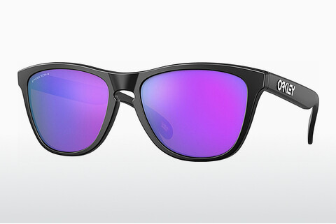 слънчеви очила Oakley FROGSKINS (OO9013 9013H6)
