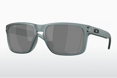 слънчеви очила Oakley HOLBROOK (OO9102 9102Z4)