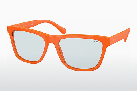 слънчеви очила Polo PH4167 596872