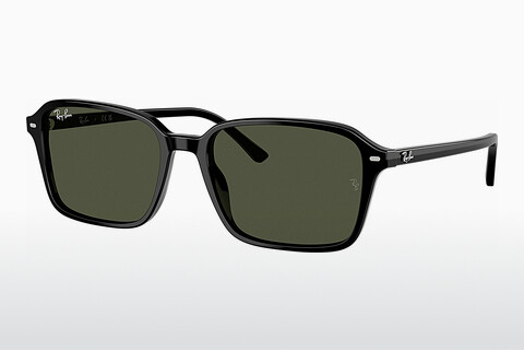 слънчеви очила Ray-Ban RAIMOND (RB2231 901/31)