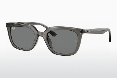 слънчеви очила Ray-Ban RB4439D 667587