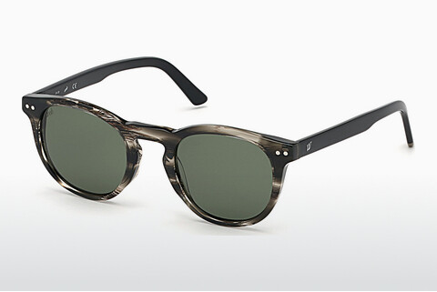 слънчеви очила Web Eyewear WE0251 20N