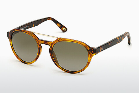 слънчеви очила Web Eyewear WE0278 56R