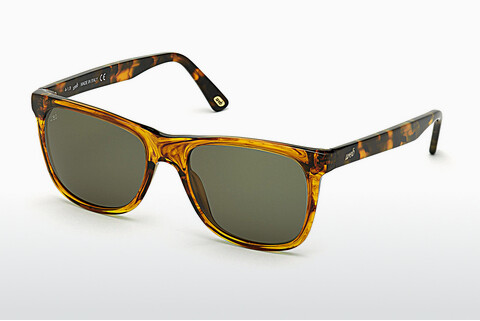 слънчеви очила Web Eyewear WE0279 56N