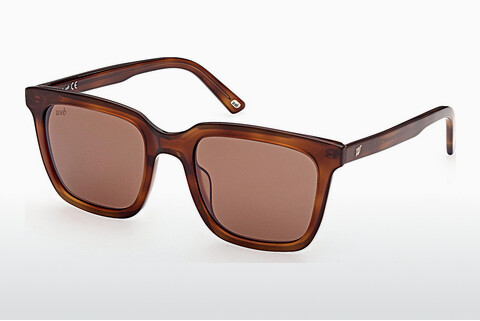 слънчеви очила Web Eyewear WE0309 53G