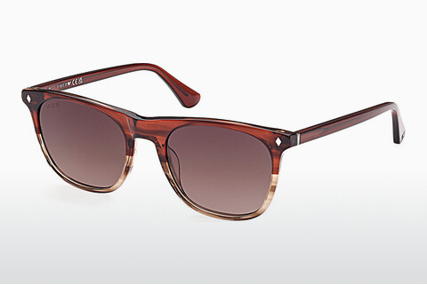 слънчеви очила Web Eyewear WE0339 71F