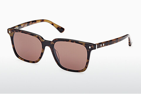 слънчеви очила Web Eyewear WE0348 56E