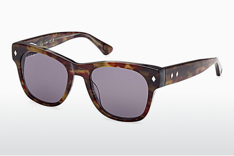 слънчеви очила Web Eyewear WE0353 56A