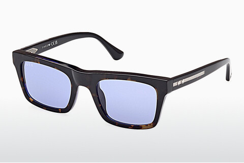 слънчеви очила Web Eyewear WE0362 56V