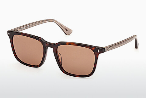 слънчеви очила Web Eyewear WE0369 56E